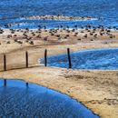 Wasser und Land in einer Fotografie von Mark Robertz